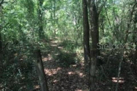 Terreno en venta en Dade City, Florida № 1140237 - foto 11