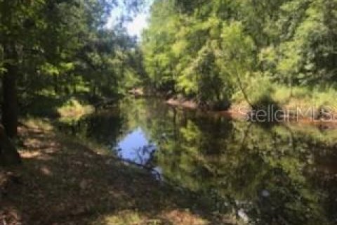 Terreno en venta en Dade City, Florida № 1140237 - foto 4