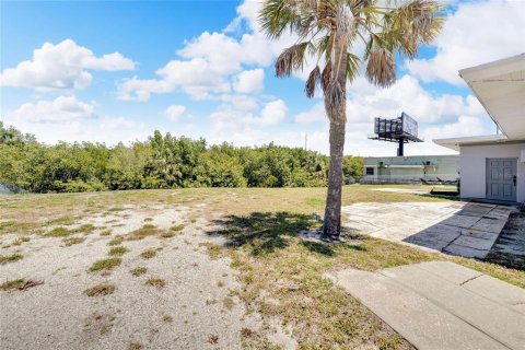 Immobilier commercial à vendre à Apollo Beach, Floride: 355.26 m2 № 1369307 - photo 8