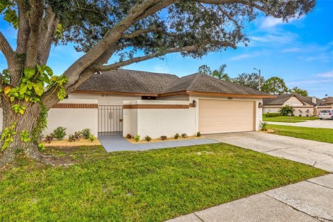 Villa ou maison à vendre à Tampa, Floride: 3 chambres, 162.39 m2 № 1364546 - photo 3