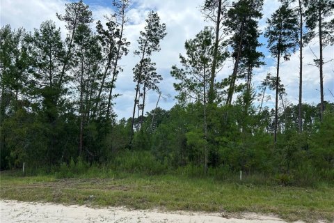 Land in Morriston, Florida № 1324742 - photo 1