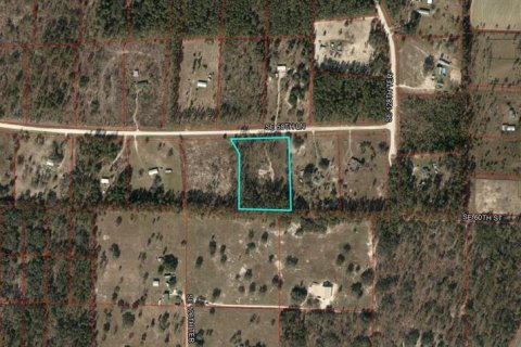 Terreno en venta en Morriston, Florida № 1324742 - foto 4