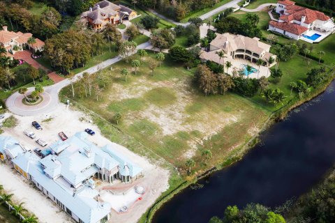 Купить земельный участок в Паркленд, Флорида № 956631 - фото 3