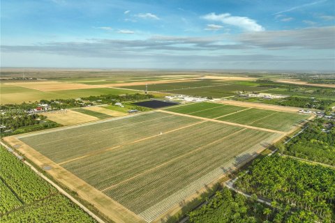 Land in Homestead, Florida № 966179 - photo 1