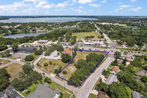 Terreno en venta en Clermont, Florida № 1390132 - foto 4