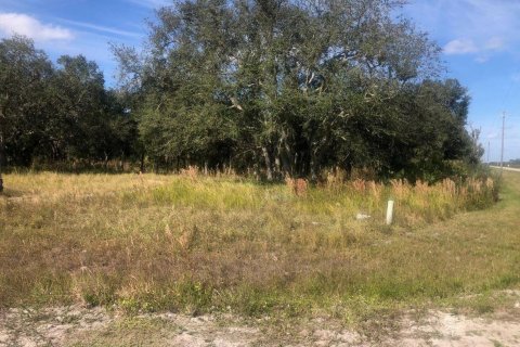 Купить земельный участок в Окичоби, Флорида № 970529 - фото 3