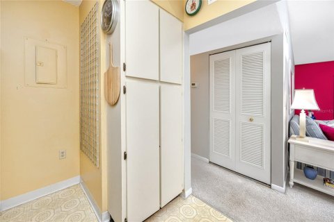 Condo in Tarpon Springs, Florida, 2 bedrooms  № 1376563 - photo 20