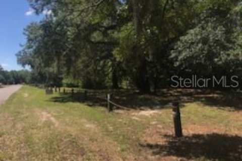 Terreno en venta en Dade City, Florida № 1140234 - foto 6