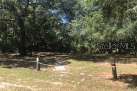 Terreno en venta en Dade City, Florida № 1140234 - foto 7