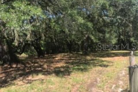 Terreno en venta en Dade City, Florida № 1140234 - foto 5