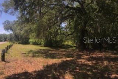 Terreno en venta en Dade City, Florida № 1140234 - foto 8