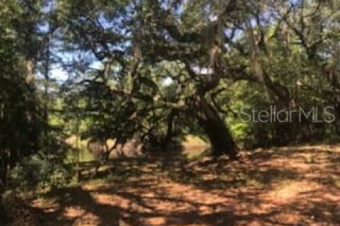 Terreno en venta en Dade City, Florida № 1140234 - foto 4