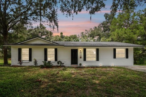 Villa ou maison à vendre à Dade City, Floride: 4 chambres, 130.16 m2 № 1368531 - photo 1