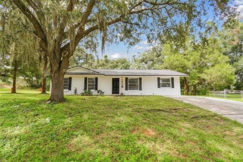 Villa ou maison à vendre à Dade City, Floride: 4 chambres, 130.16 m2 № 1368531 - photo 3