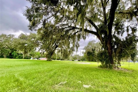 Terrain à vendre à Leesburg, Floride № 1368493 - photo 6