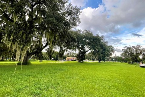 Terreno en venta en Leesburg, Florida № 1368493 - foto 4