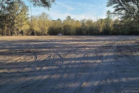 Terreno en venta en Gainesville, Florida № 1321856 - foto 4