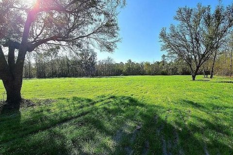 Terreno en venta en Gainesville, Florida № 1321856 - foto 3