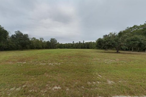 Terrain à vendre à Gainesville, Floride № 1321856 - photo 2