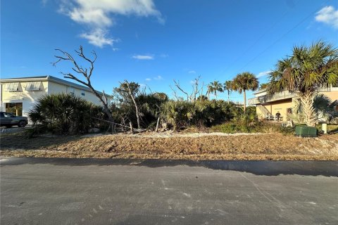 Terrain à vendre à Palm Coast, Floride № 930492 - photo 3