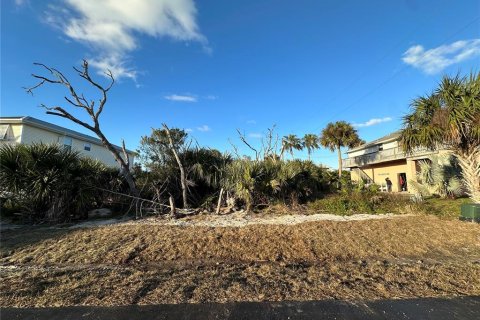Купить земельный участок в Палм-Кост, Флорида № 930492 - фото 1