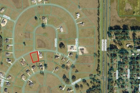 Land in Ocala, Florida № 1250847 - photo 1