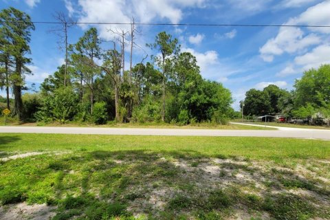 Купить земельный участок в Клуистон, Флорида № 1087694 - фото 1