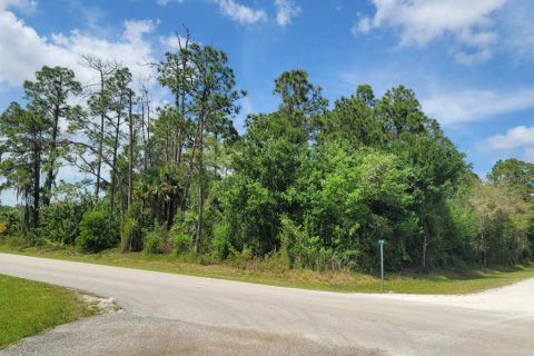 Купить земельный участок в Клуистон, Флорида № 1087694 - фото 4