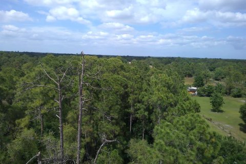 Купить земельный участок в Клуистон, Флорида № 1087694 - фото 11