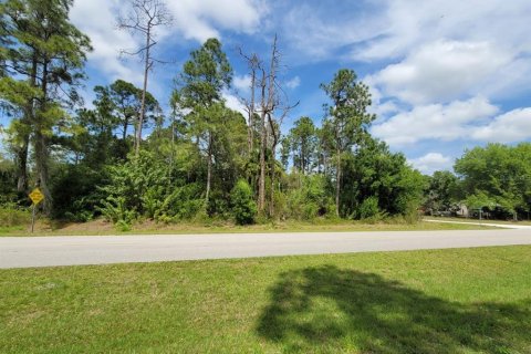 Купить земельный участок в Клуистон, Флорида № 1087694 - фото 2