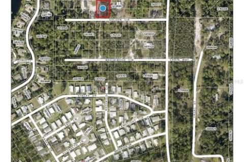 Terreno en venta en Mount Dora, Florida № 1365022 - foto 2