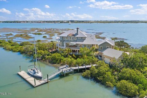 Villa ou maison à vendre à Saint Augustine, Floride: 5 chambres, 580.64 m2 № 766617 - photo 2