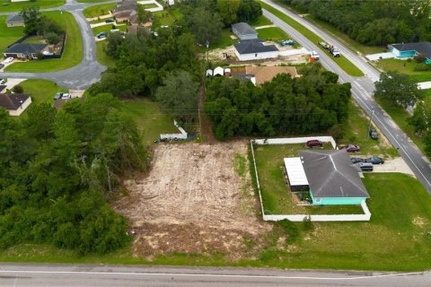 Land in Ocala, Florida № 1296083 - photo 2