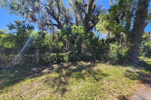 Land in Edgewater, Florida № 1082992 - photo 4