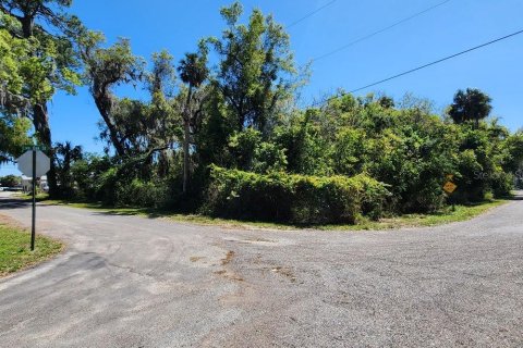 Land in Edgewater, Florida № 1082992 - photo 1