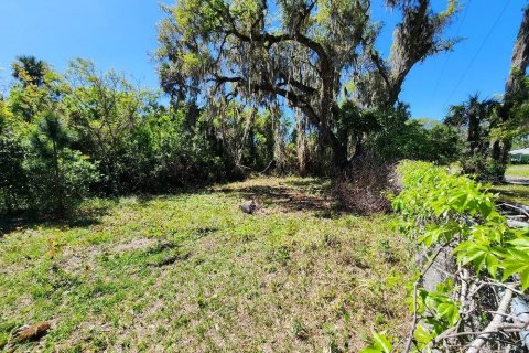 Terrain à vendre à Edgewater, Floride № 1082992 - photo 3