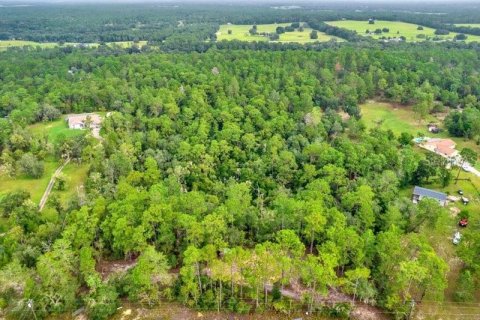 Land in Floral City, Florida № 1366695 - photo 13