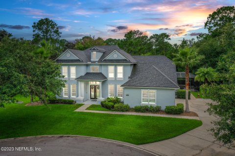 Villa ou maison à vendre à Saint Augustine, Floride: 4 chambres, 377.37 m2 № 768782 - photo 3