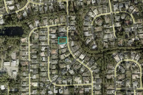 Terrain à vendre à Palm Coast, Floride № 1199195 - photo 1