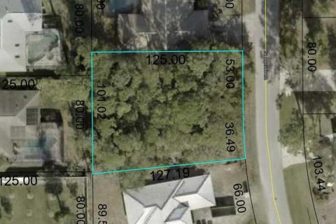 Купить земельный участок в Палм-Кост, Флорида № 1199195 - фото 2