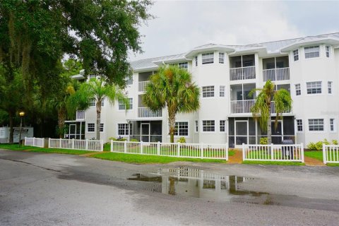 Condo in Lutz, Florida, 1 bedroom  № 1364532 - photo 1