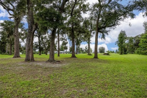 Terrain à vendre à Ocala, Floride № 1363011 - photo 7