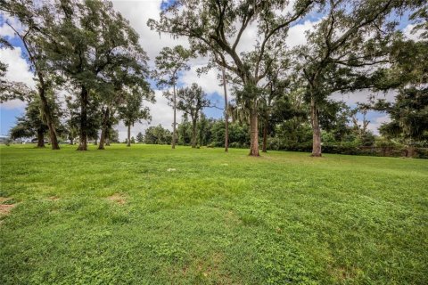 Terrain à vendre à Ocala, Floride № 1363011 - photo 5