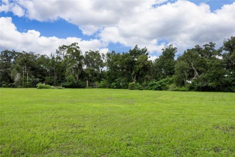 Terreno en venta en Ocala, Florida № 1363011 - foto 8