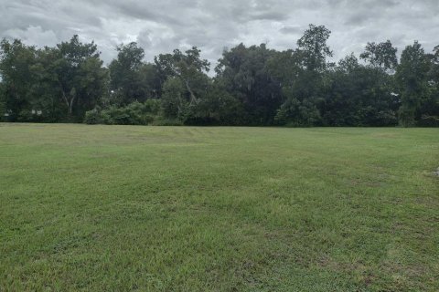 Land in Ocala, Florida № 1363011 - photo 1