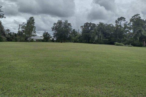 Land in Ocala, Florida № 1363011 - photo 2