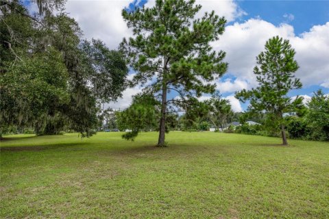 Terrain à vendre à Ocala, Floride № 1363011 - photo 17