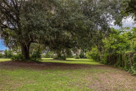 Terrain à vendre à Ocala, Floride № 1363011 - photo 27