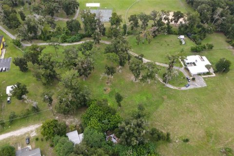 Land in Ocala, Florida № 1363011 - photo 23