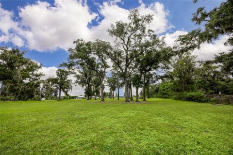 Terrain à vendre à Ocala, Floride № 1363011 - photo 6